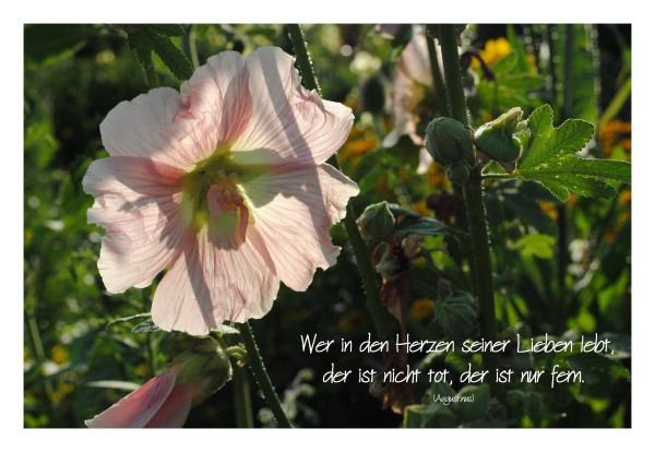 Trauerkarte "Vertrauen"