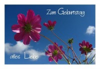 Geburtstagskarte "Cosmea" Geburtstagskarte "Cosmea"