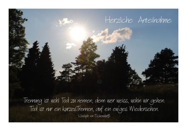 Beileidsbekundung "Ewiges Wiedersehen"