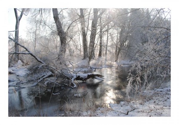 Winterkarten "Schneewasser"