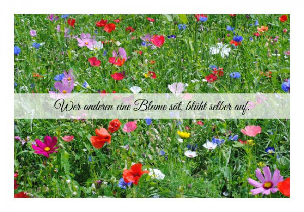 Sprüchekarte "Aufblühen"