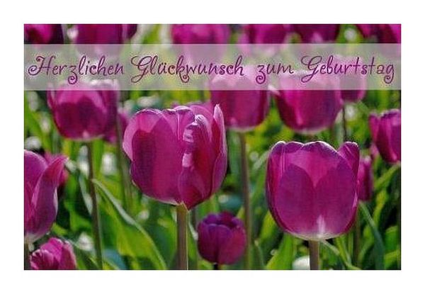 Geburtstagsblumen "Tulpen" KLAPPKARTE & KUVERT Naturzauber