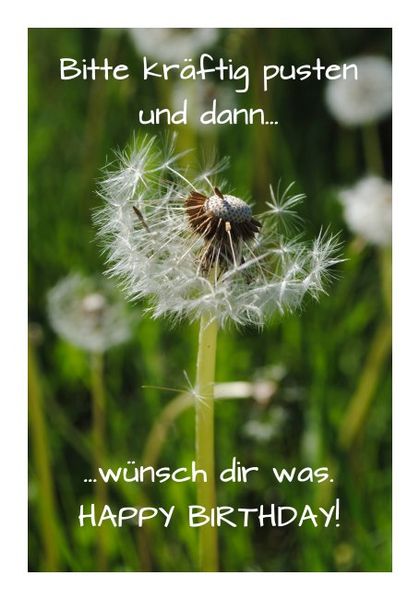 Glückwunschkarten Geburtstag &ldquo;Pusteblume-2&rdquo; - KLAPPKARTE & KUVERT