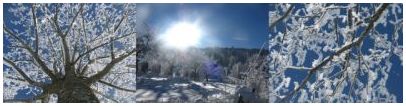januar-2012
