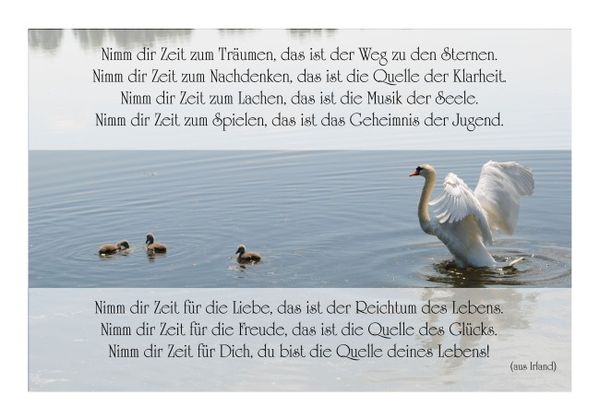 Karten mit Sprüchen "Nimm Dir Zeit" KLAPPKARTE & KUVERT Naturzauber