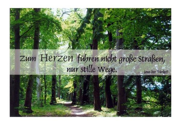 Spruchkarte "Weg zum Herzen" KLAPPKARTE & KUVERT Naturzauber