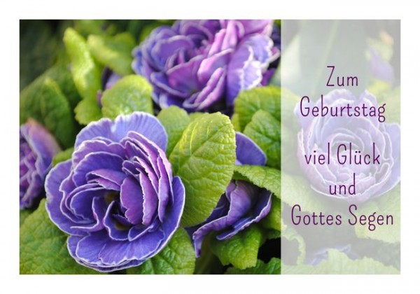 Christliche Geburtstagsgrüße "Gottes Segen" - KLAPPKARTE & KUVERT  Naturzauber Grußkartenshop
