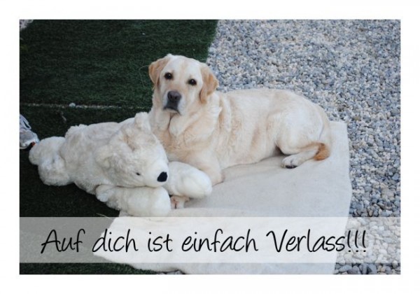 Auf Dich Ist Verlass Groß Oder Klein