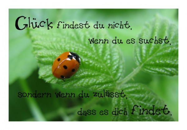 Karten mit Sprüchen "Das Glück findet Dich" - KLAPPKARTE & KUVERT