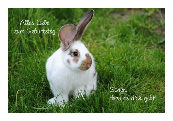 Lustige Geburtstagskarte "Hase" KLAPPKARTE & KUVERT Naturzauber