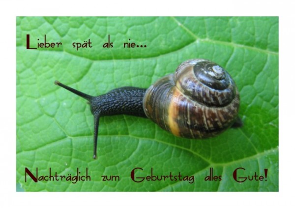 Lustige Geburtstagskarte "Schnecke" KLAPPKARTE & KUVERT Naturzauber