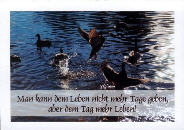 Sprüchekarten "Fülle des Lebens" KLAPPKARTE & KUVERT Naturzauber