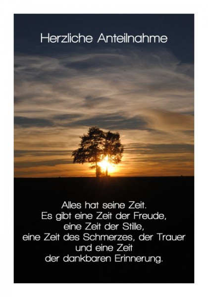 Trauerkarten "Anteilnahme" - KLAPPKARTE & KUVERT | Naturzauber