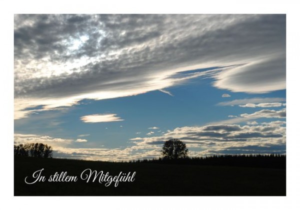 Bild Trauer Himmel: A Comprehensive Guide to Expressing Grief and Remembrance