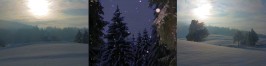 waldweihnacht-gut-mergenthau